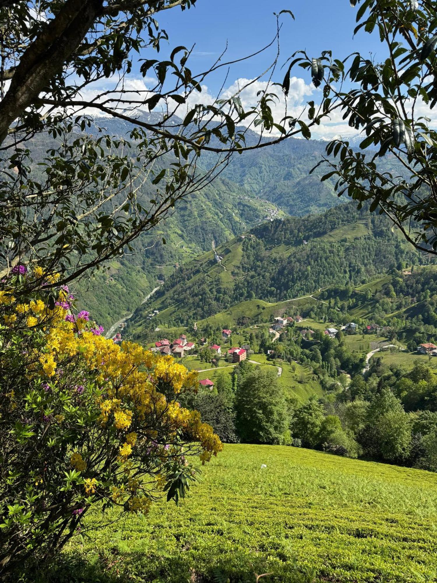 Pera Bungalov Ардешен Экстерьер фото